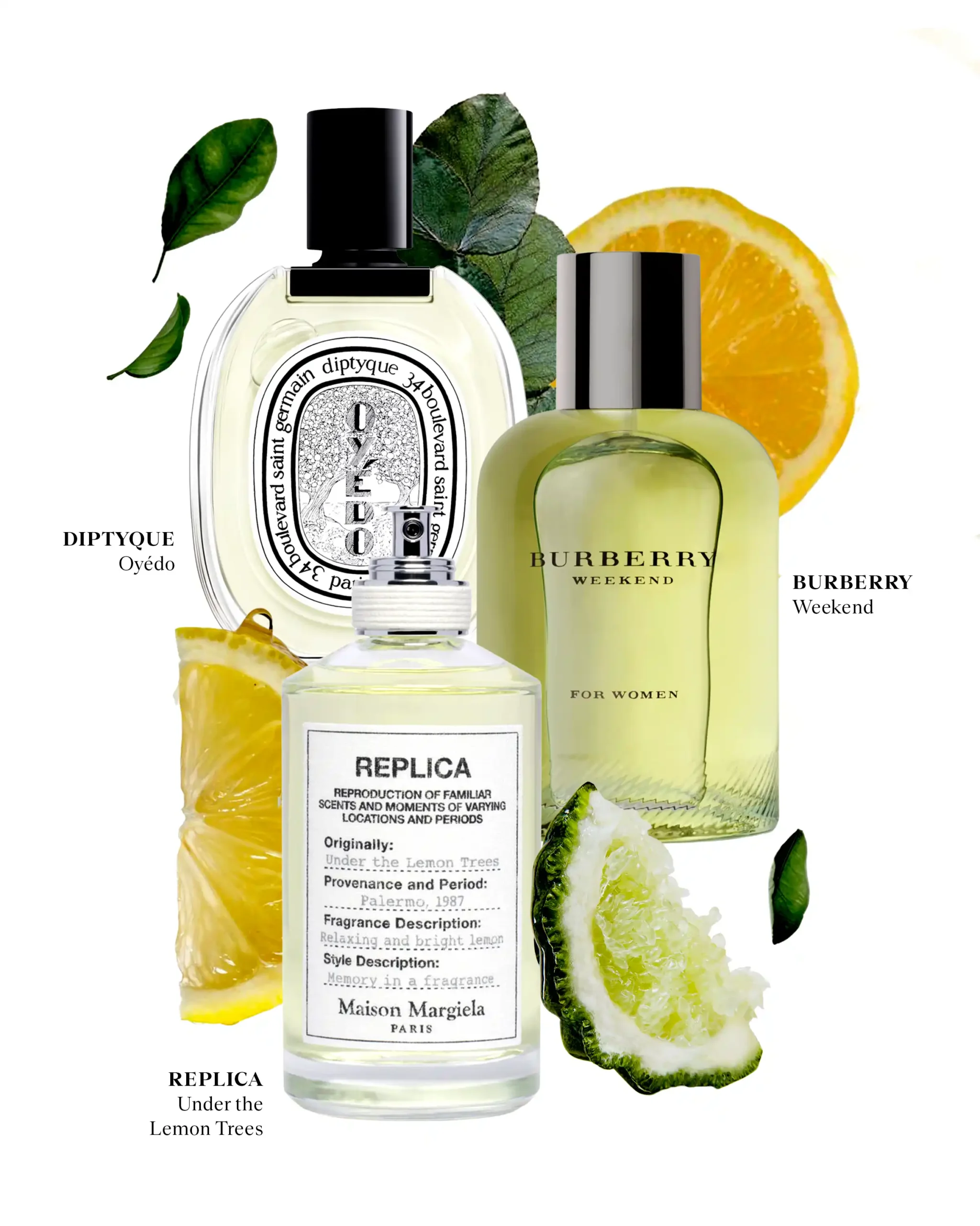 scents with citrus notes