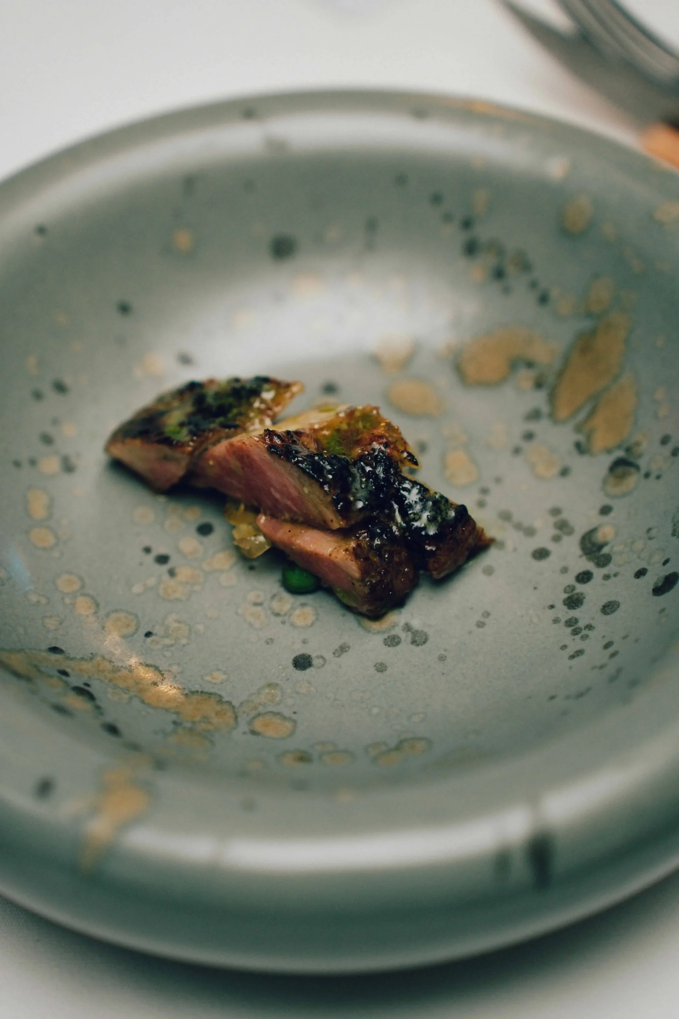 Small piece of herb-crusted steak on a blue speckled plate with sauce specks around it.