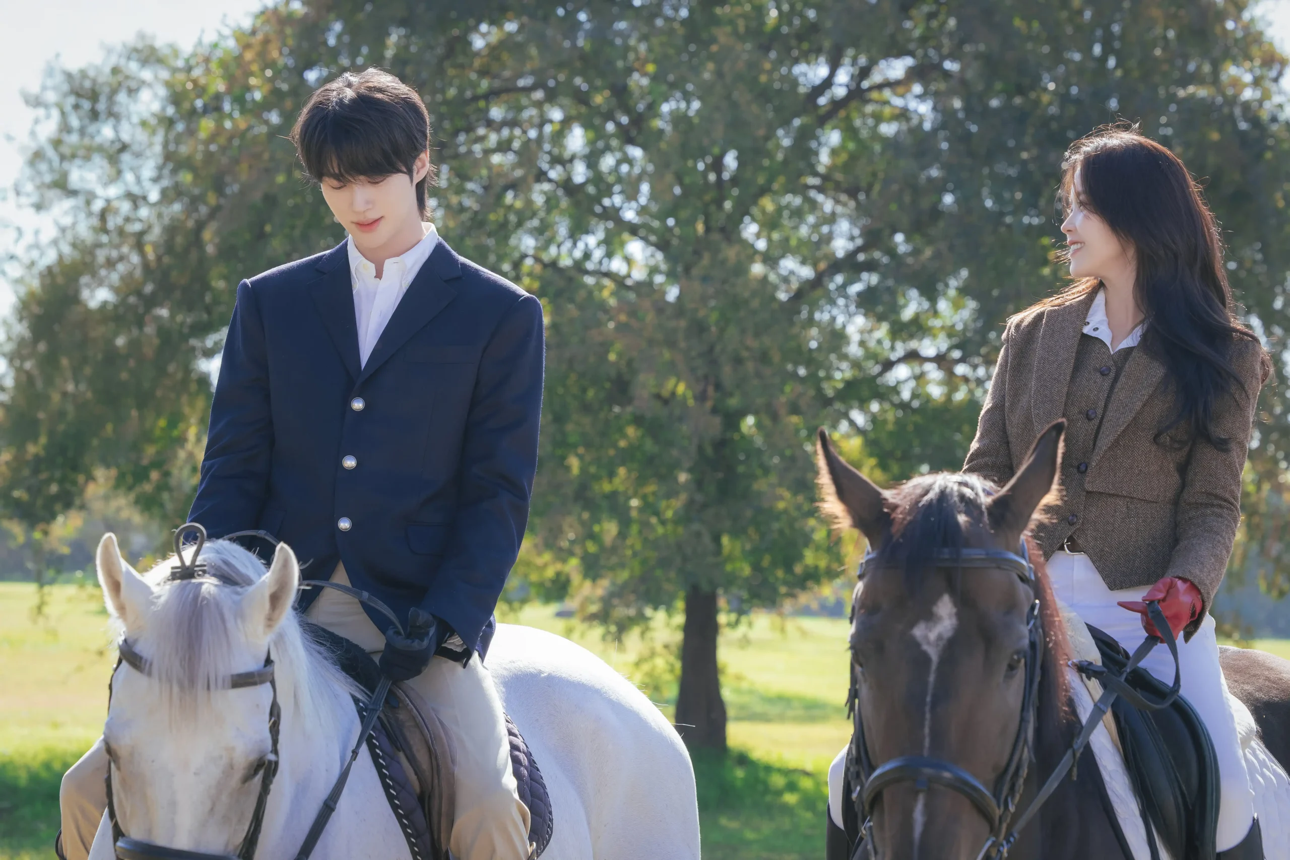 PERFECT CROWN K-DRAMA
