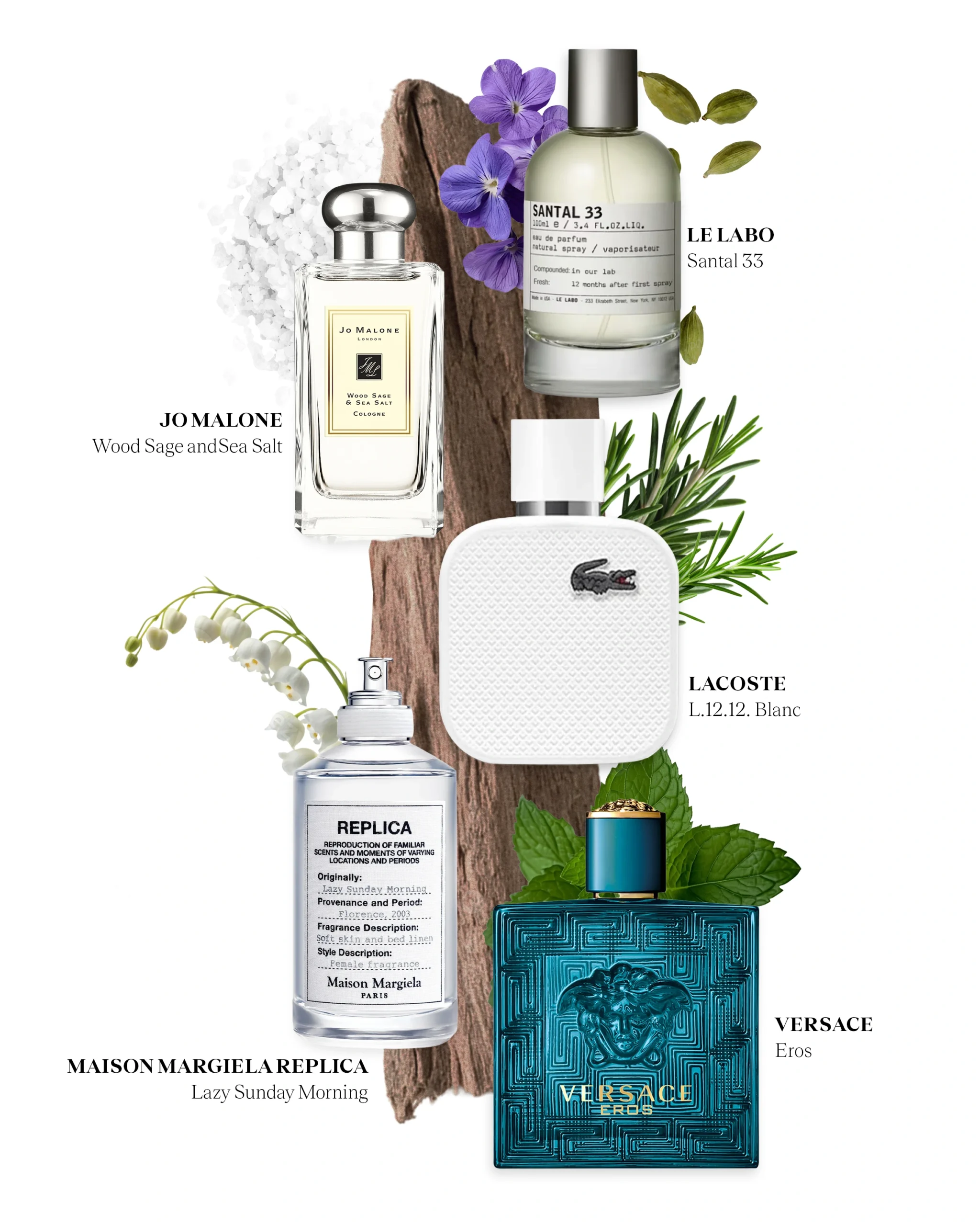 bini colet's woody and earthy perfumes