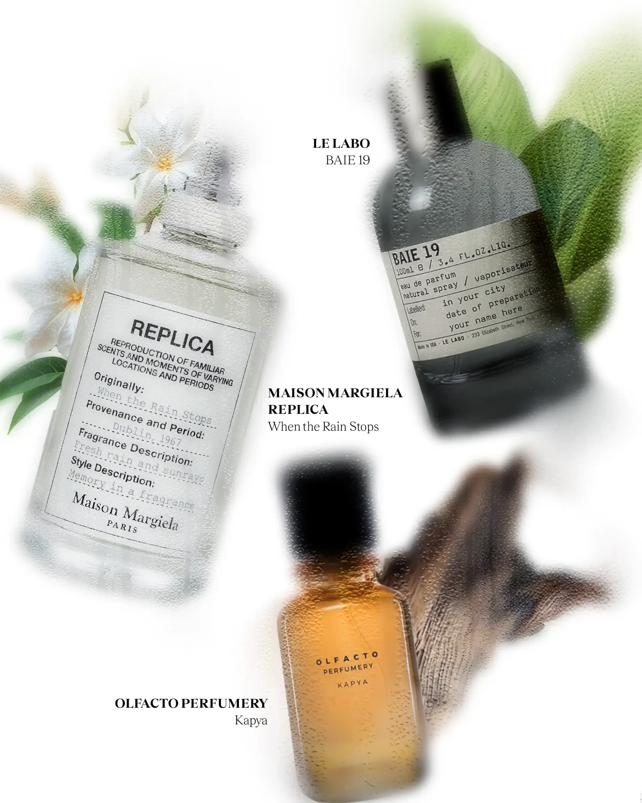 Fresh and earthy perfumes