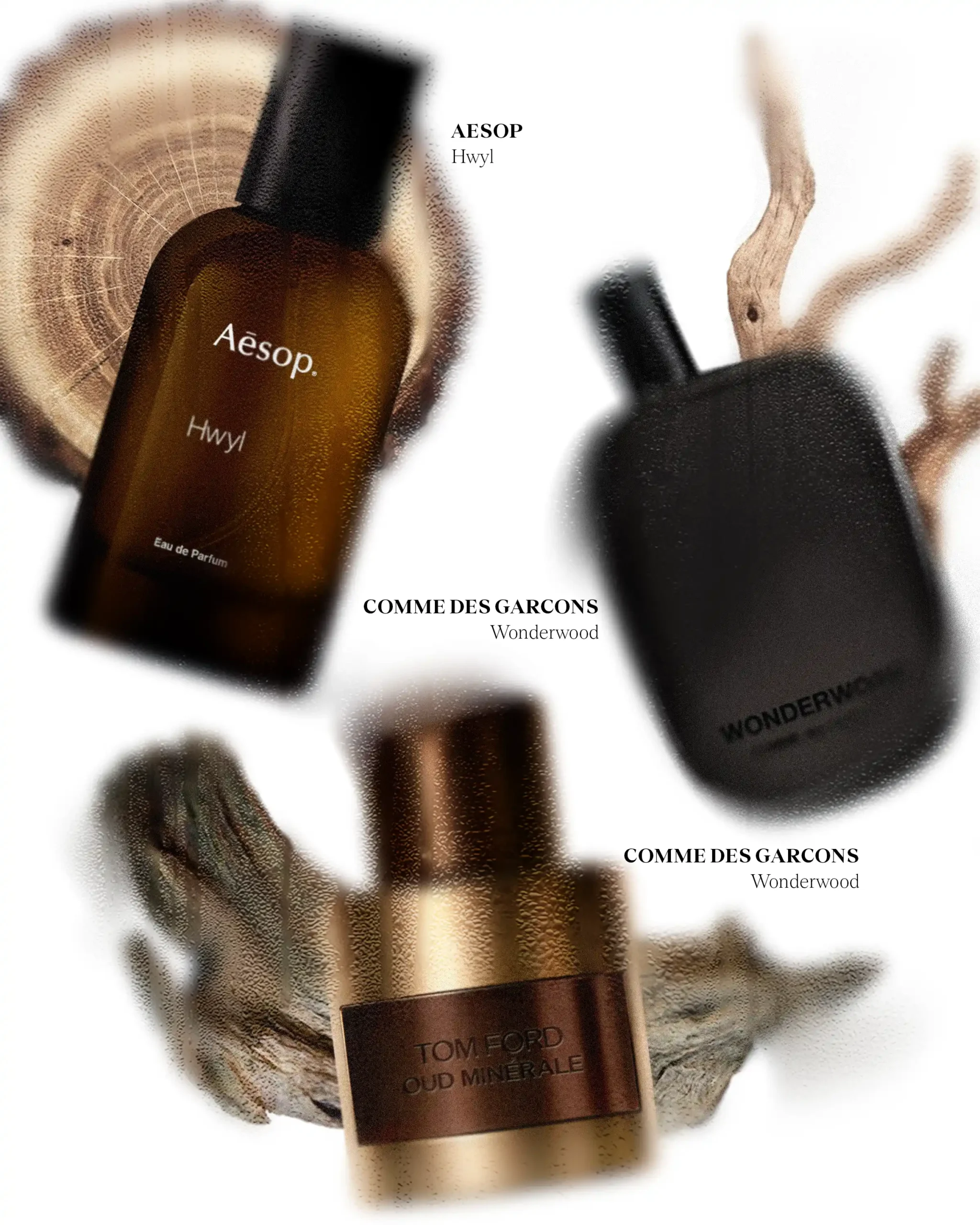 Perfumes with woody and musky notes