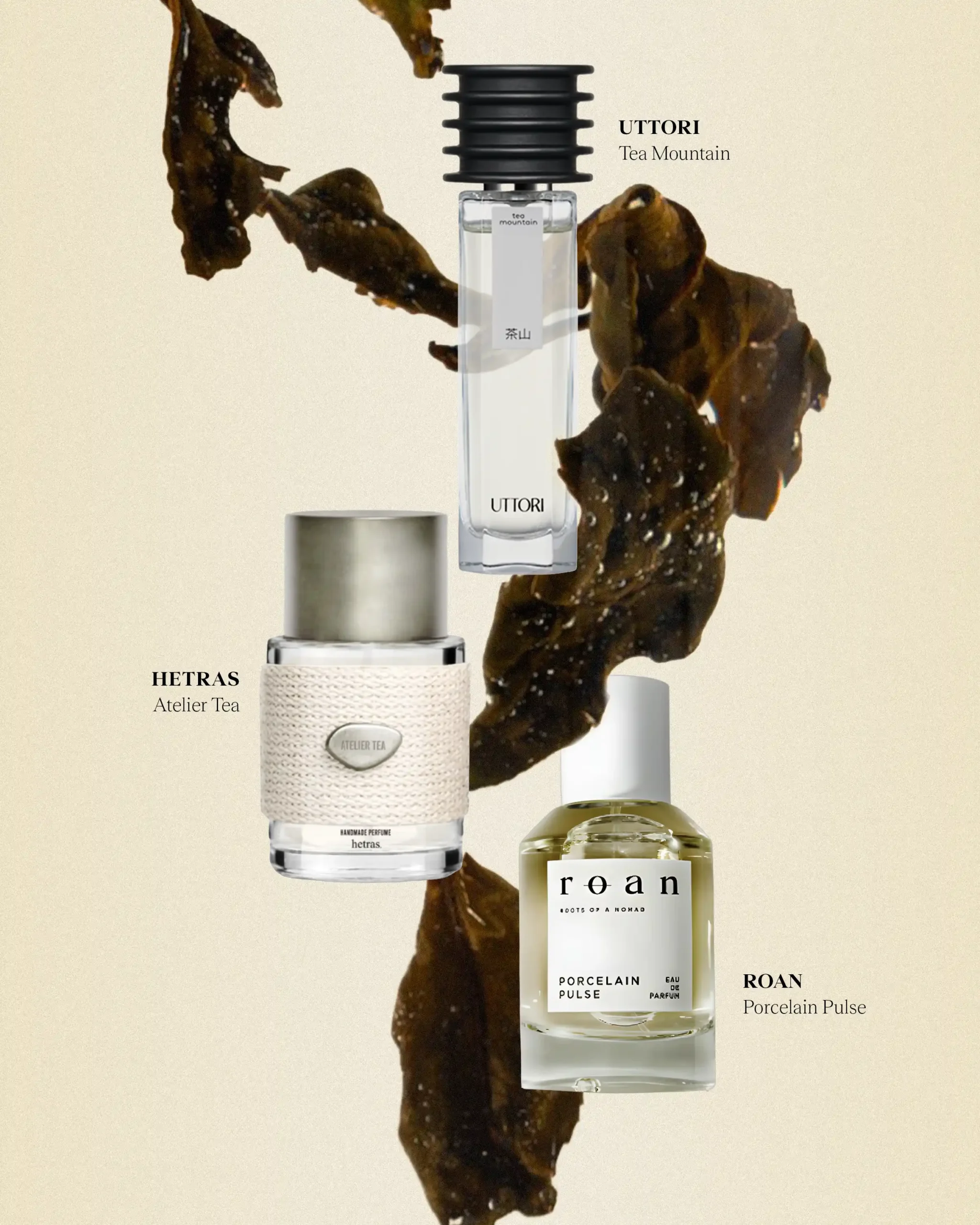 Black tea scents