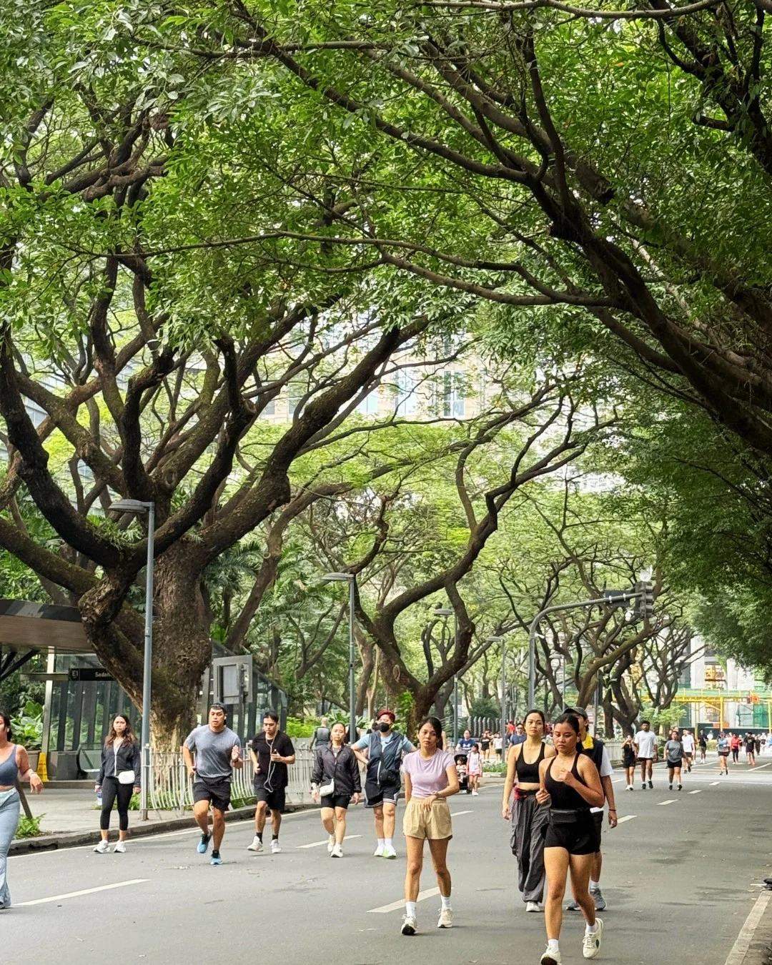ayala triangle garden