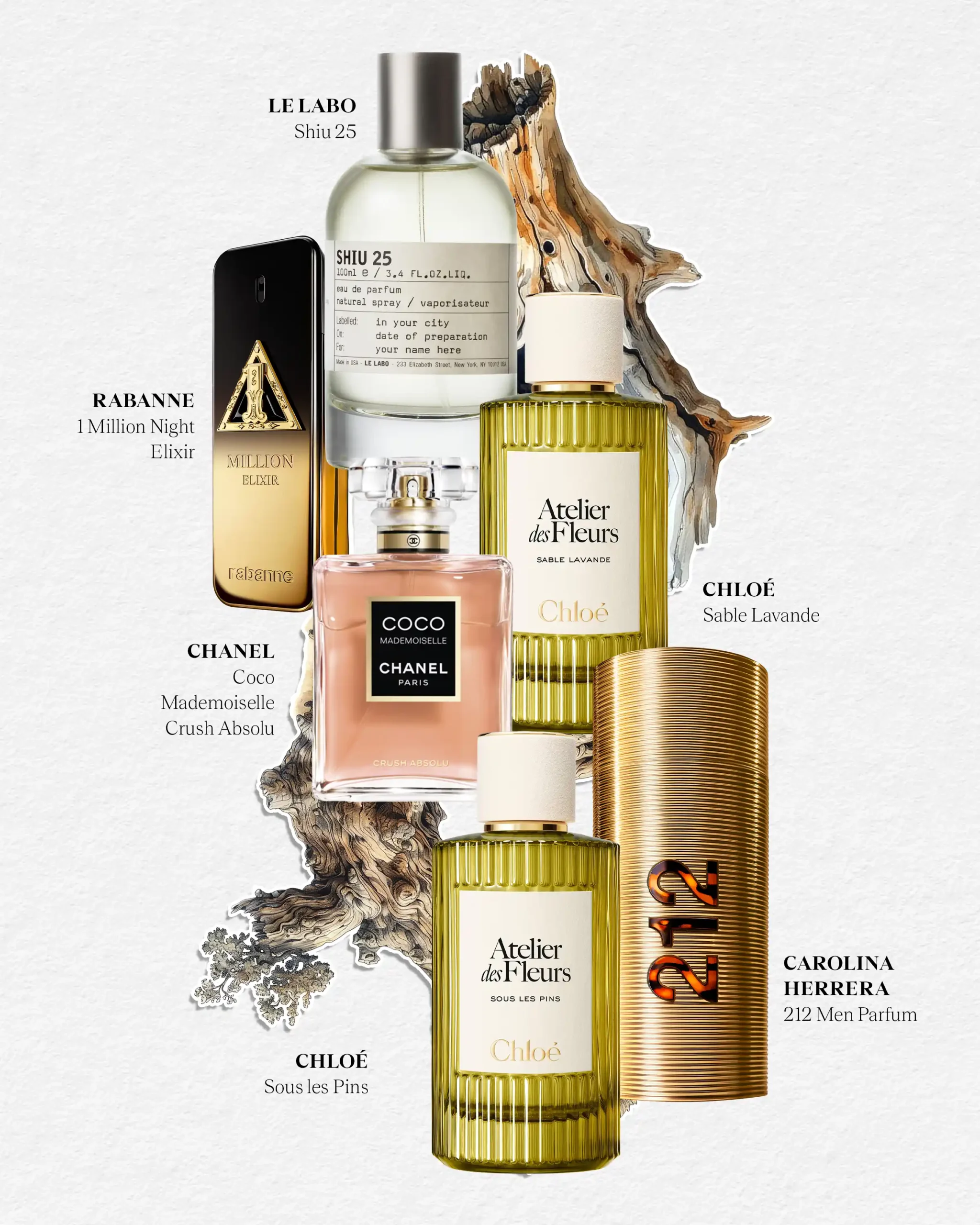 Warm, woody, and amber scents