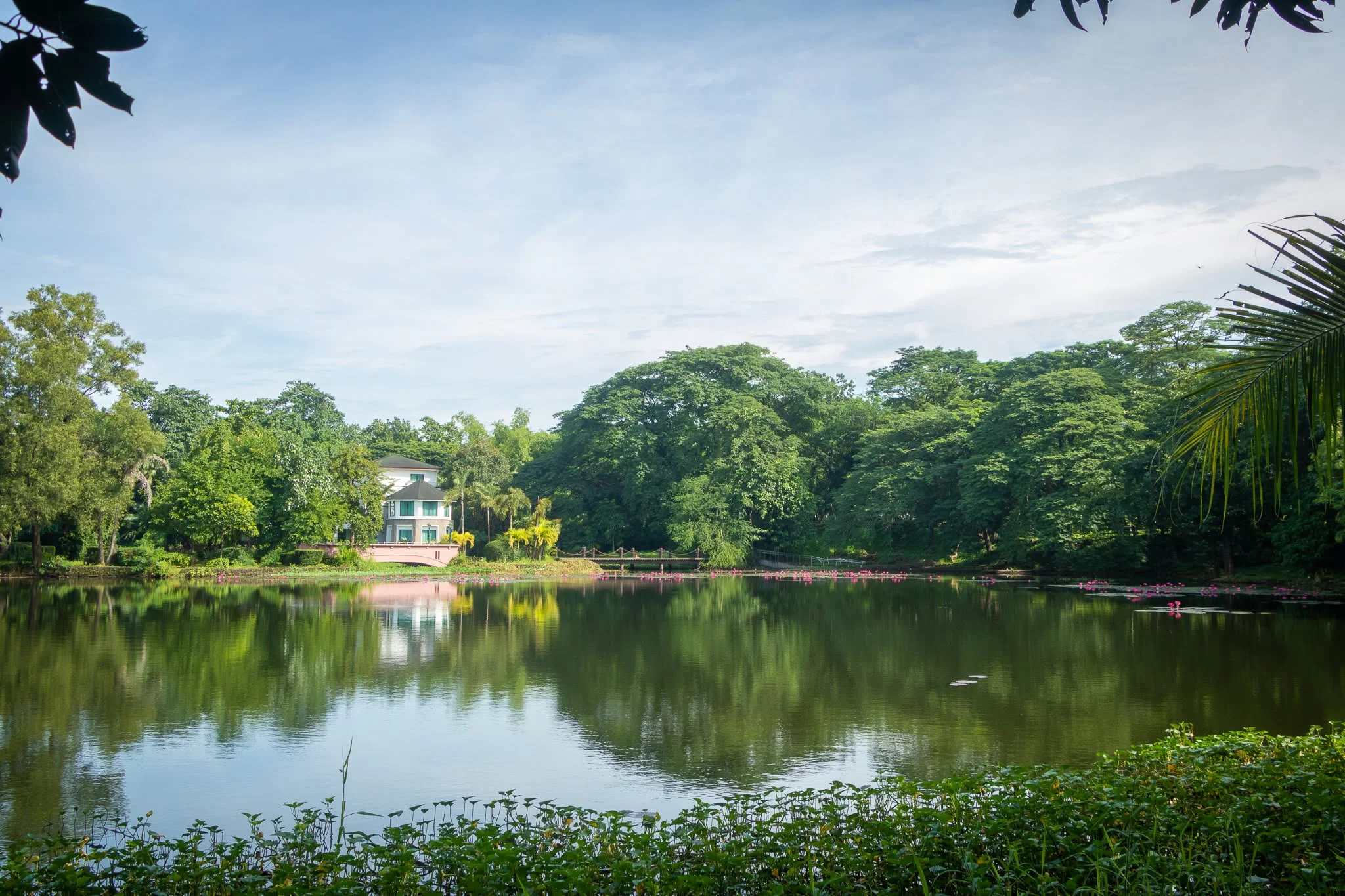 ninoy aquino park